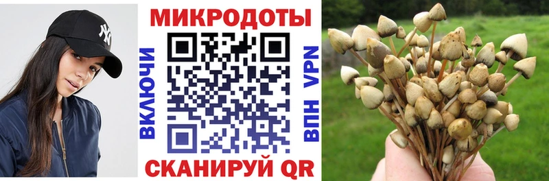 MEGA онион  Окуловка  Галлюциногенные грибы ЛСД 